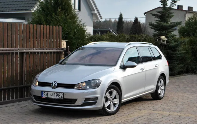 orzesze Volkswagen Golf cena 32800 przebieg: 242750, rok produkcji 2014 z Orzesze